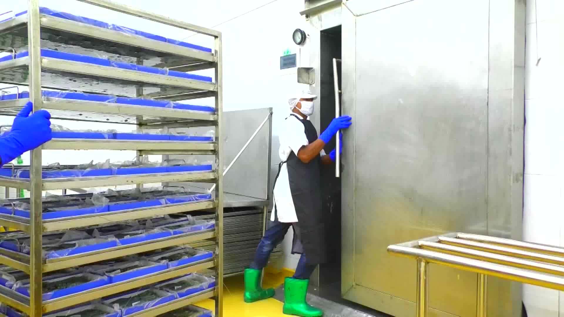 Et ve Balık Soğuk Oda Depoları