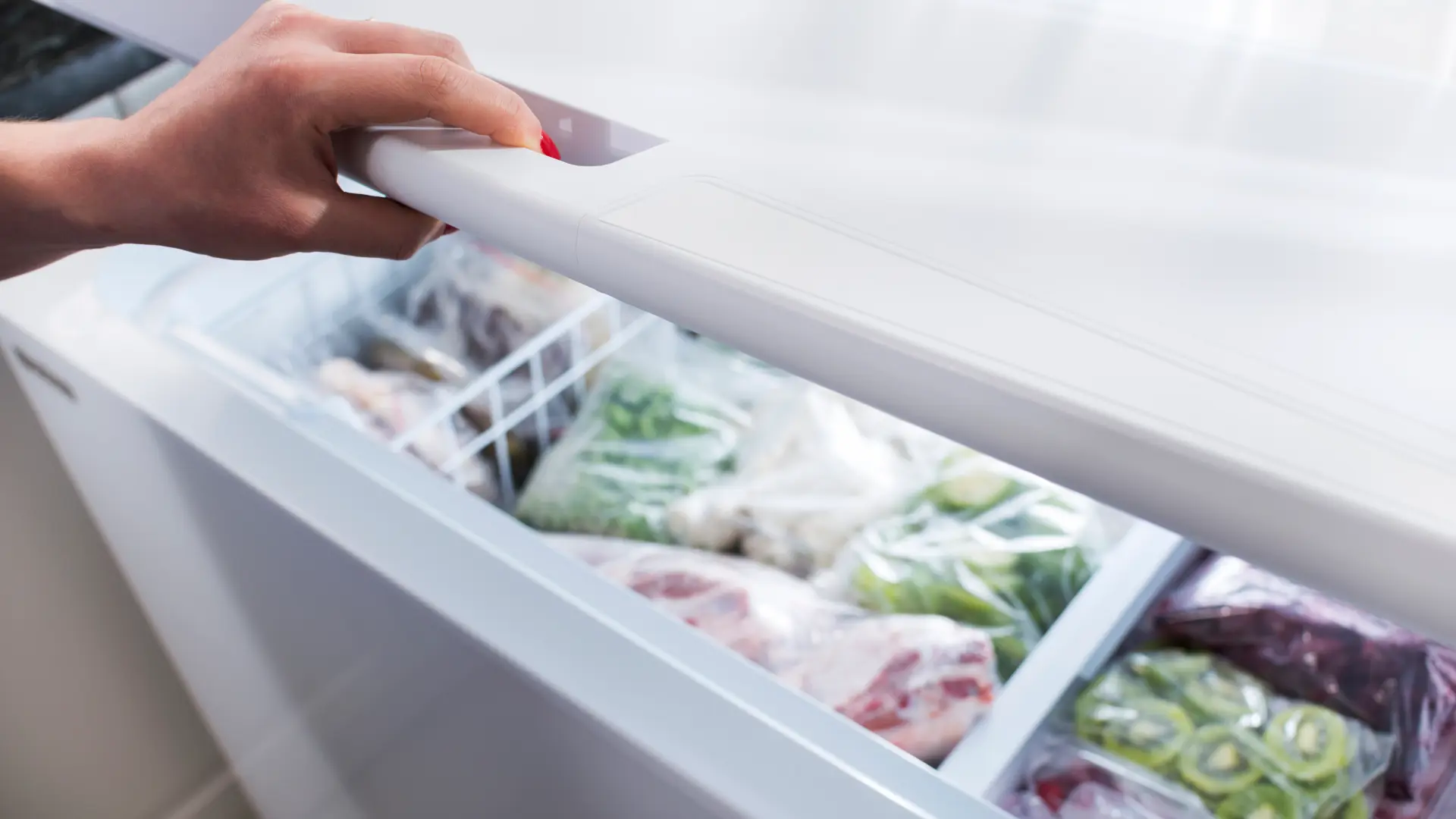 Gıda Şoklama ve Donmuş Muhafaza Odaları