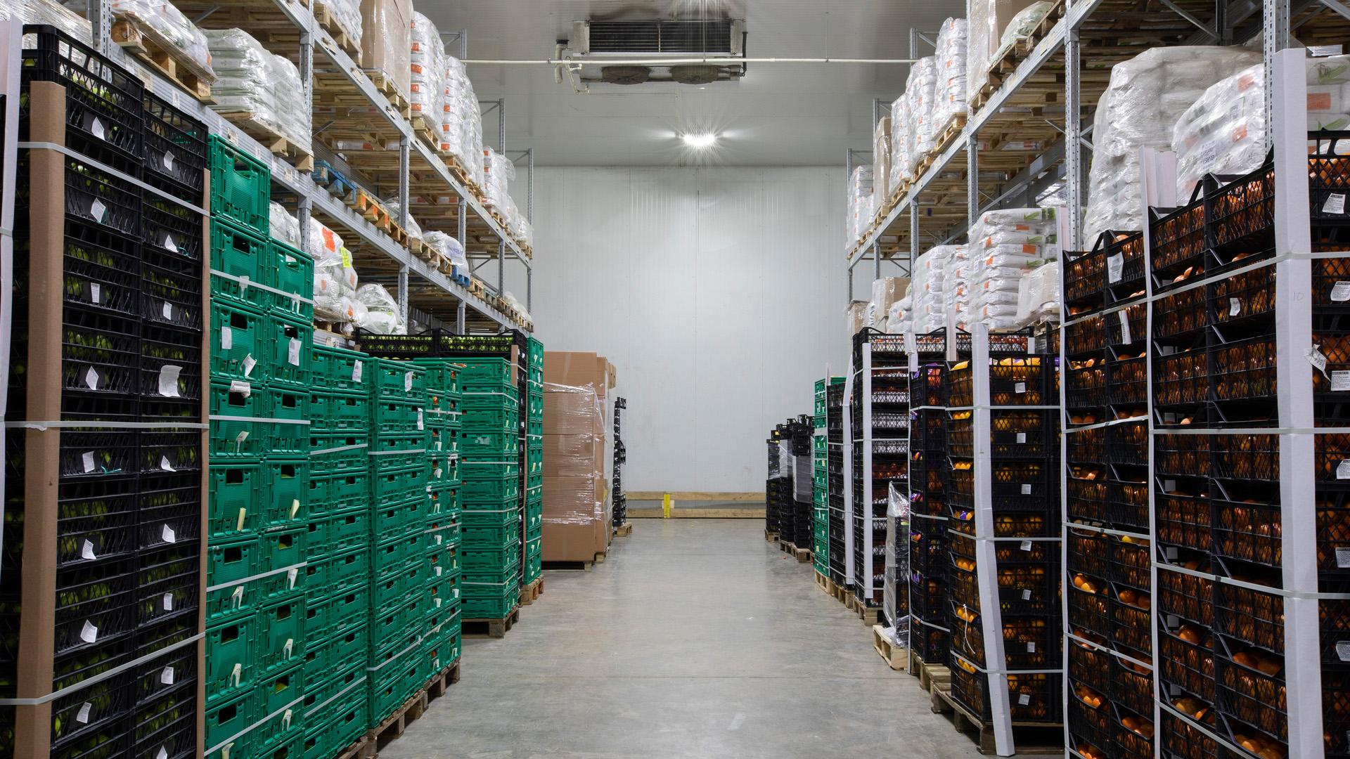 Narenciye ve Muz Sarartma Soğuk Hava Depoları